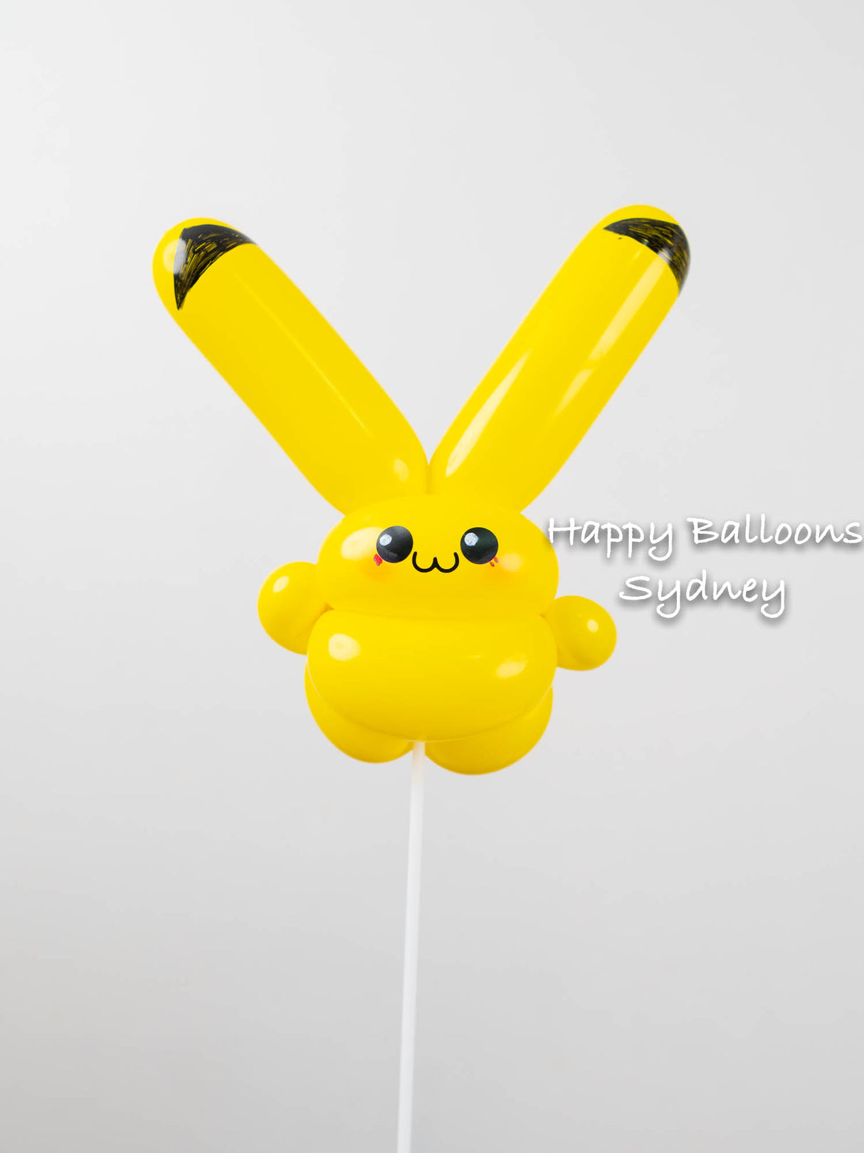 SKU-202001 Woven Balloon Gift on a Balloon Stick