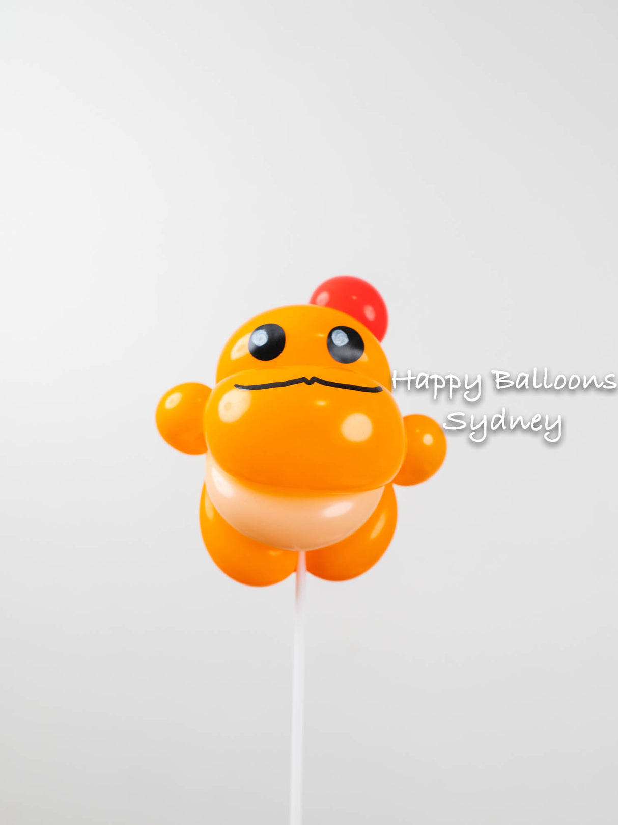 SKU-202003 Woven Balloon Gift on a Balloon Stick