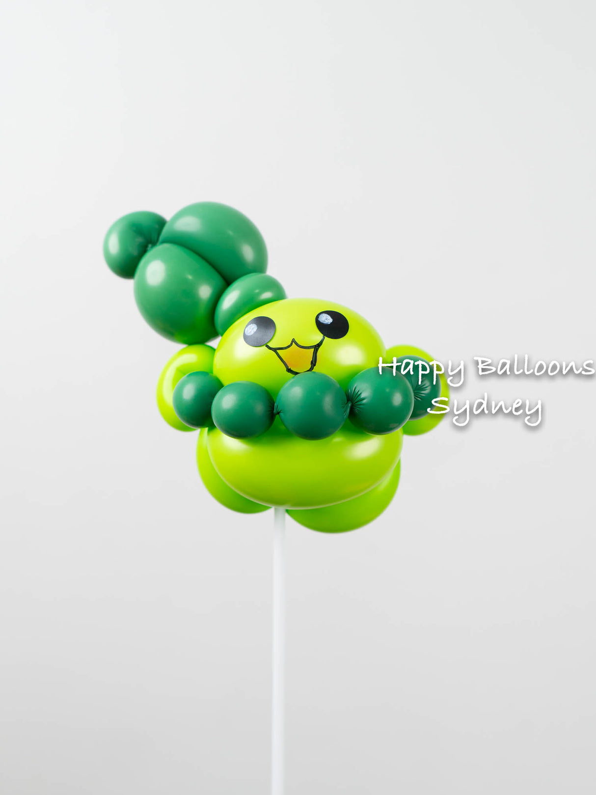 SKU-202004 Woven Balloon Gift on a Balloon Stick