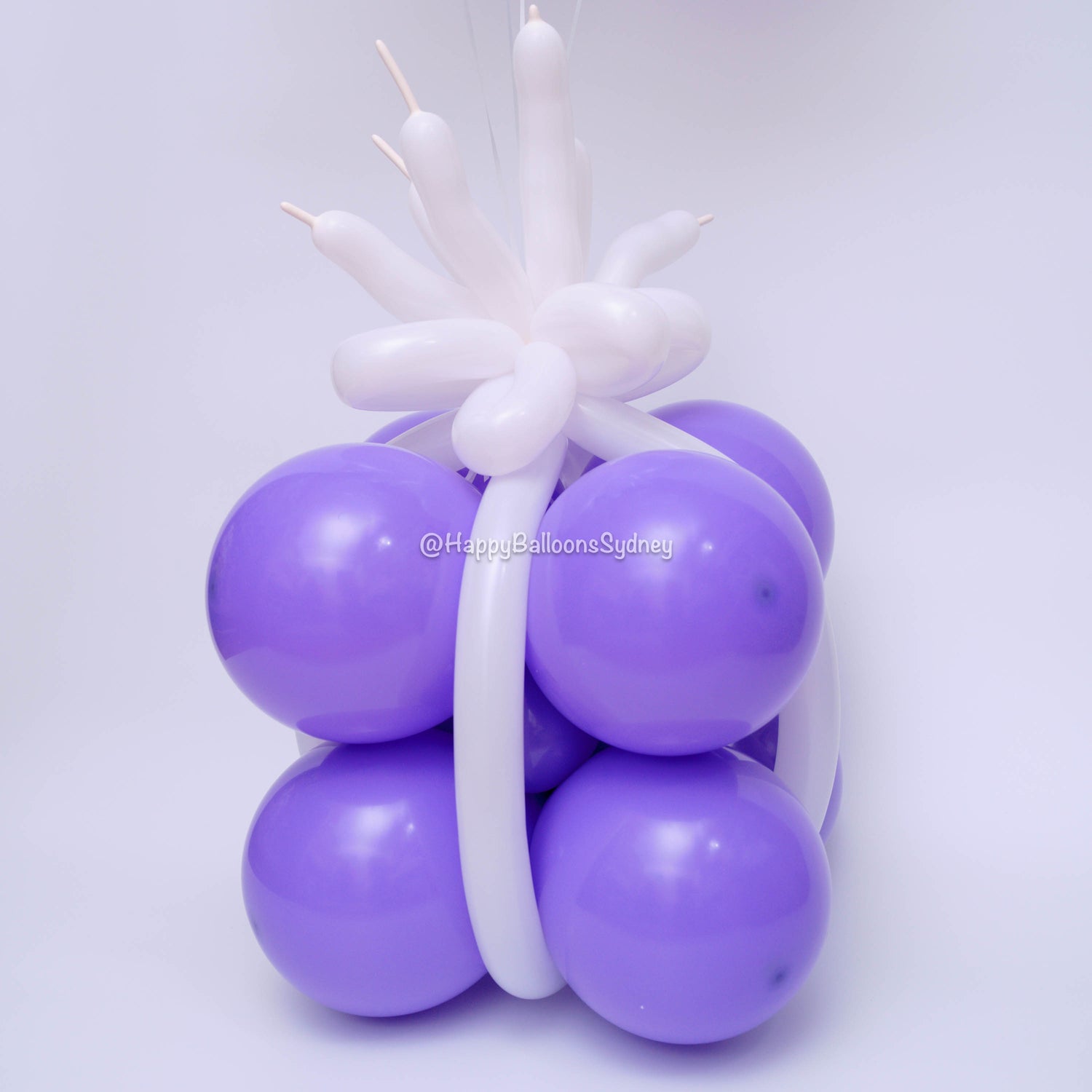 SKU-204001 Balloon Gift Box