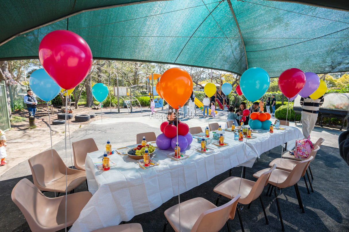 SKU-401022 Colourful Theme birthlday party decoration