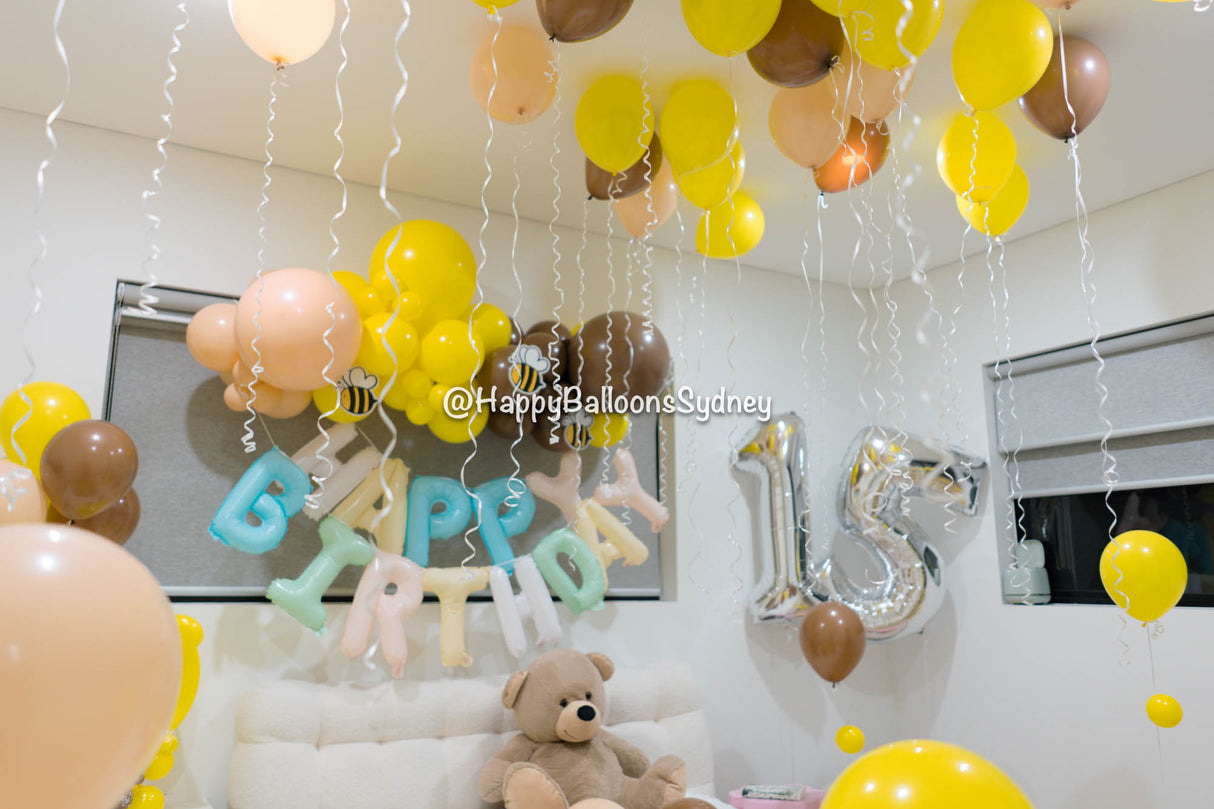 SKU-302001 Birthday Suprise decoration Garland and Balloons